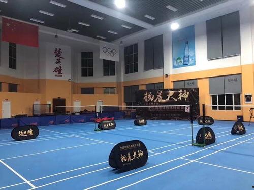 杨晨大神爆料天佑最新动态,杨晨大神独家爆料揭秘